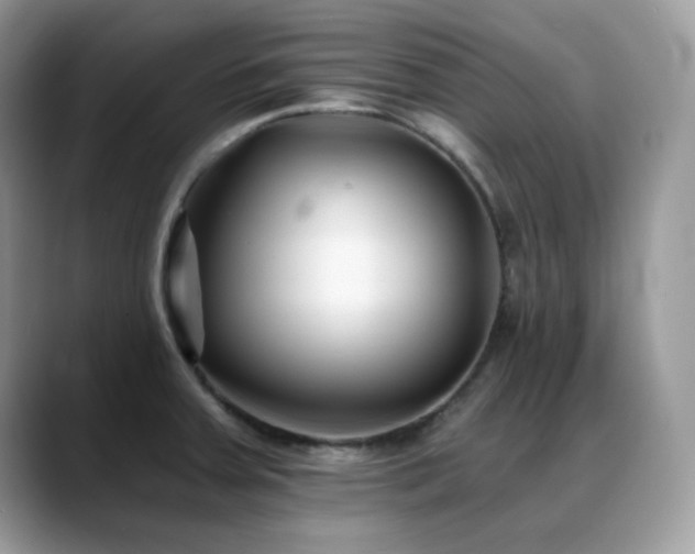 X0000088921379200706081351