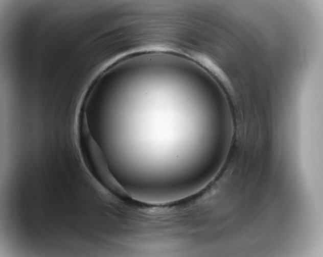 X0000088921380200706081351