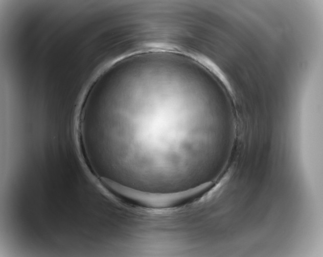 X0000088921381200706081351