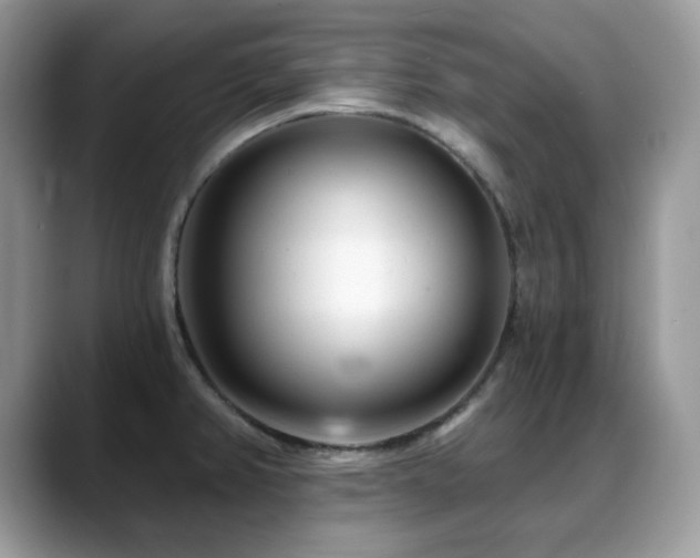 X0000088921382200706081351