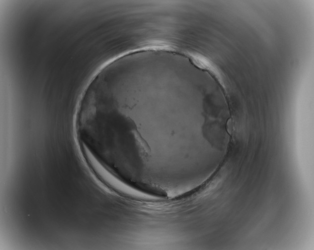 X0000088921383200706081351
