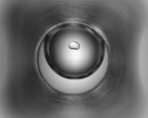 X0000088921384200706081351