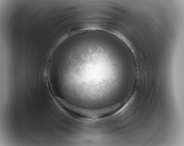 X0000088921385200706081351