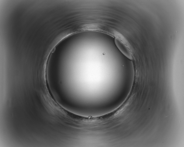 X0000088921386200706081351