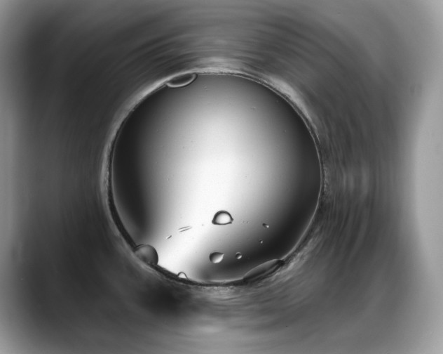 X0000088921387200706081351