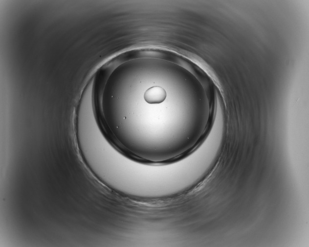 X0000088921388200706081351