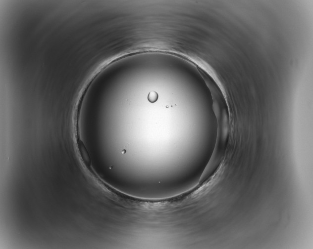 X0000088921389200706081351