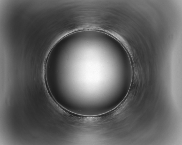 X0000088921390200706081351
