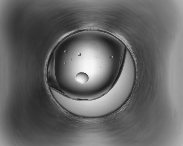 X0000088921392200706081351