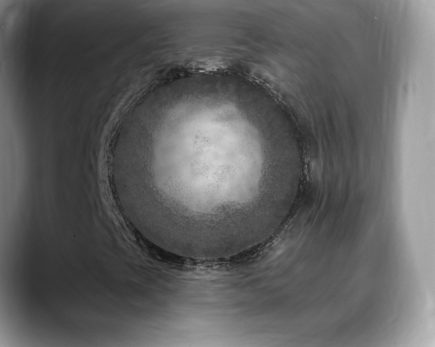 X0000088921393200706081351