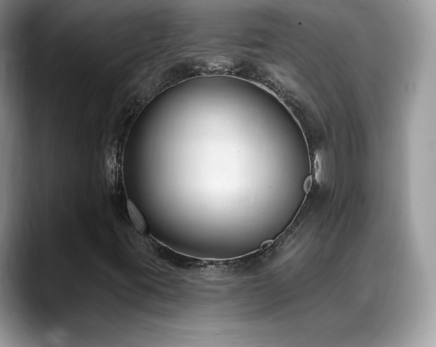 X0000088921395200706081351