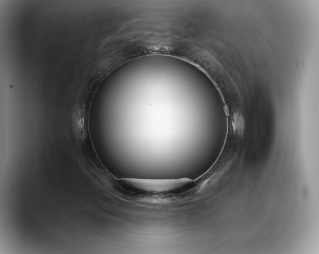 X0000088921396200706081351