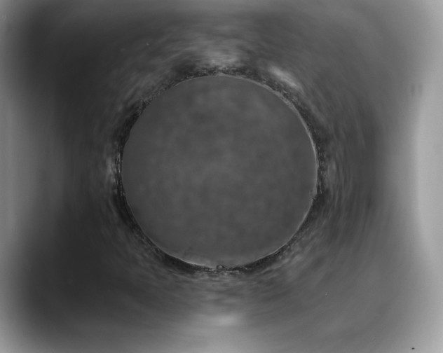 X0000088921397200706081351