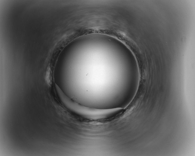 X0000088921398200706081351