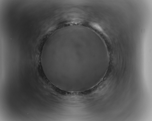 X0000088921399200706081351