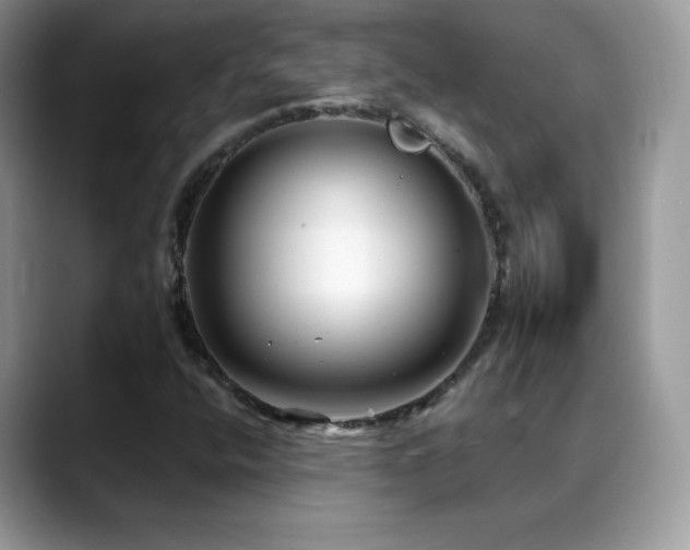 X0000088921400200706081351