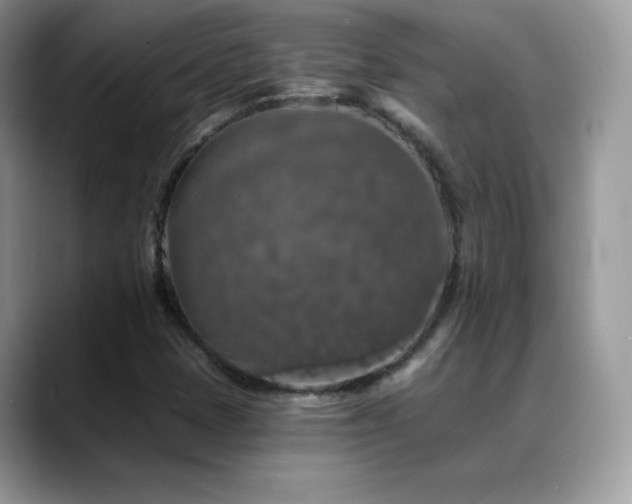 X0000088921401200706081351