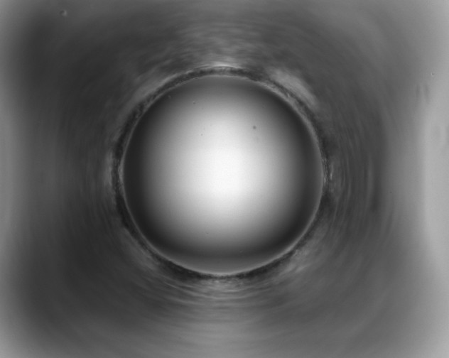 X0000088921404200706081351