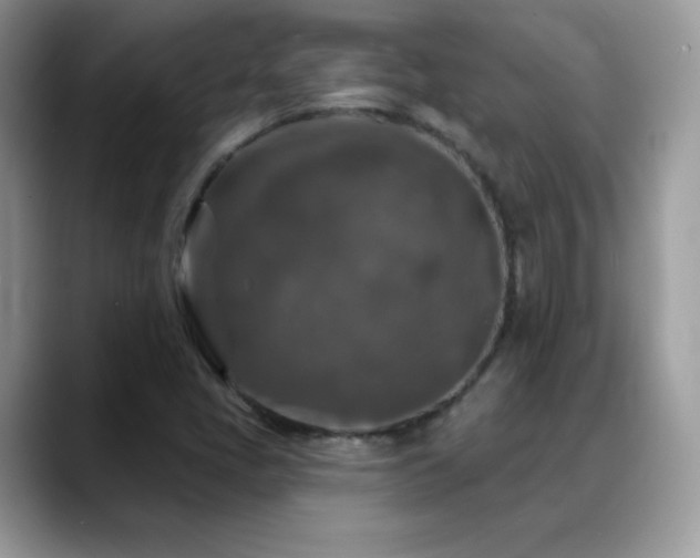 X0000088921405200706081351