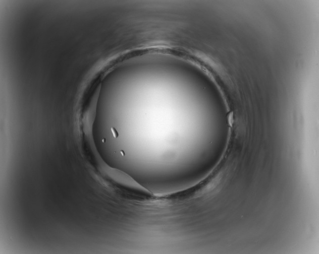 X0000088921406200706081351