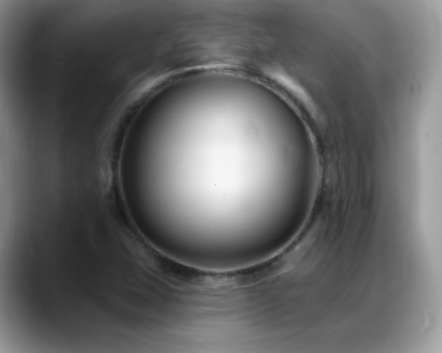 X0000088921407200706081351