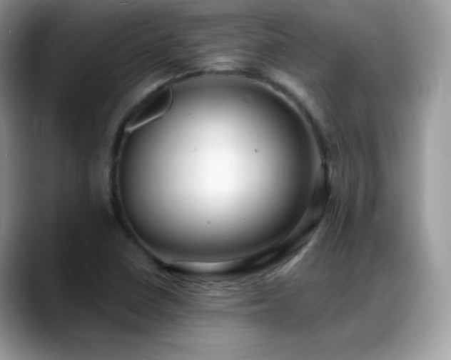 X0000088921410200706081351