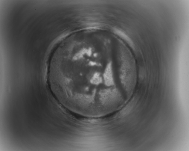 X0000088921411200706081351
