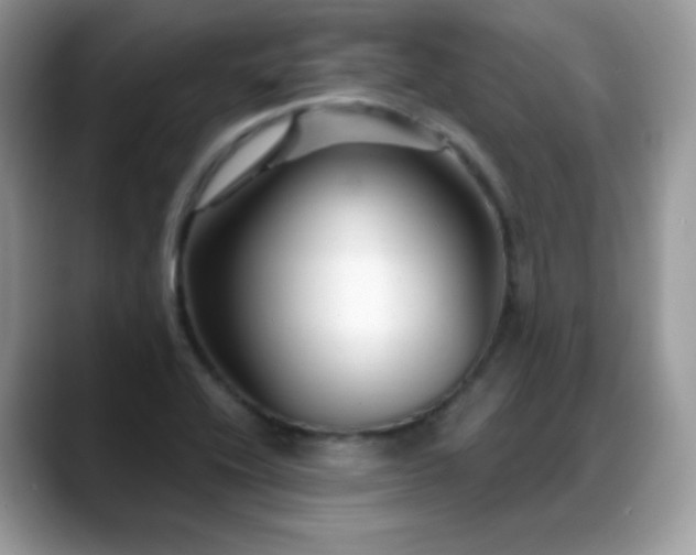 X0000088921416200706081351