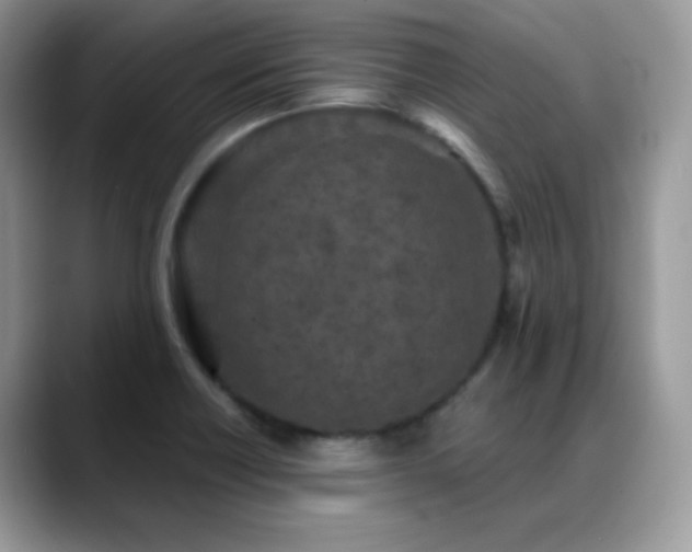 X0000088921418200706081351