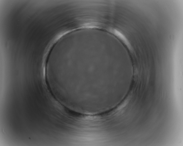 X0000088921419200706081351