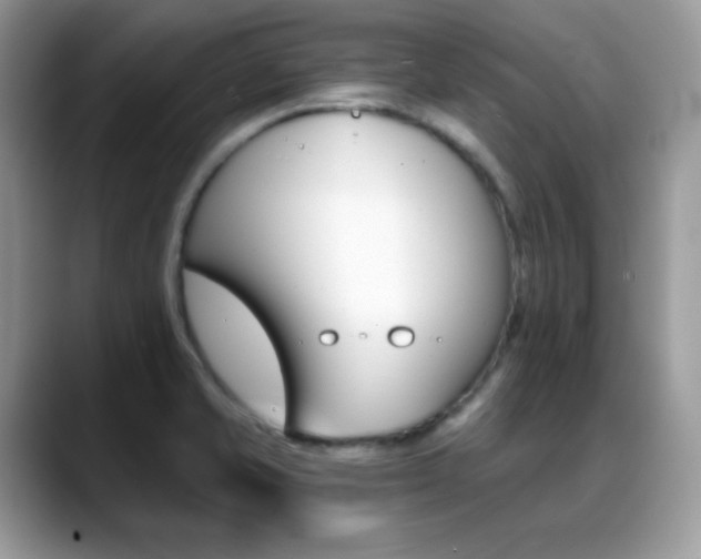X0000088921421200706081351