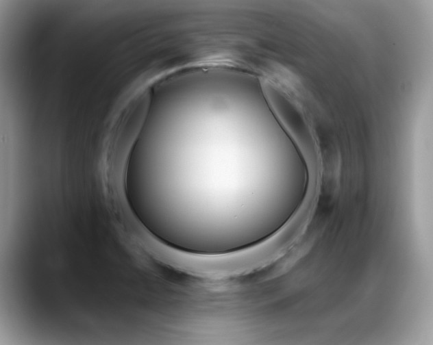 X0000088921422200706081351
