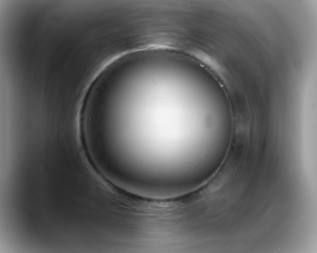 X0000088921423200706081351