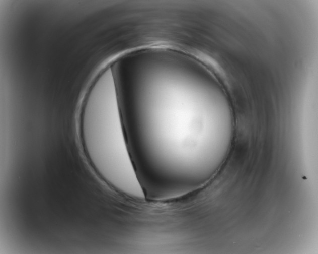 X0000088921424200706081351