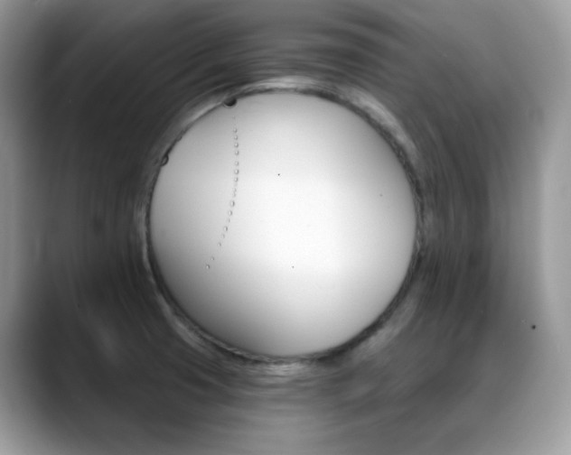 X0000088921425200706081351
