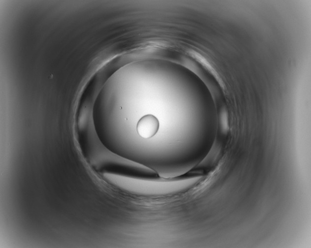X0000088921426200706081351