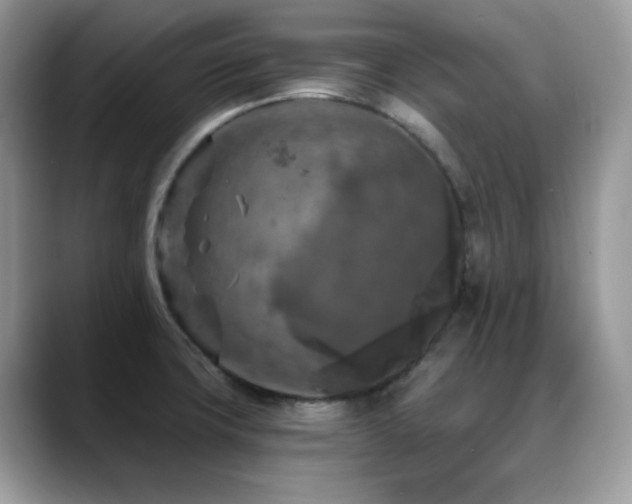 X0000088921427200706081351