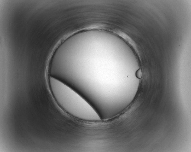X0000088921429200706081351