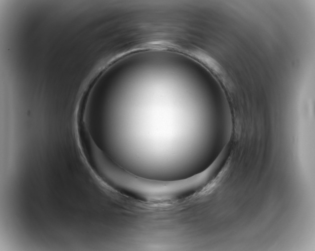 X0000088921430200706081351