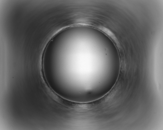 X0000088921431200706081351