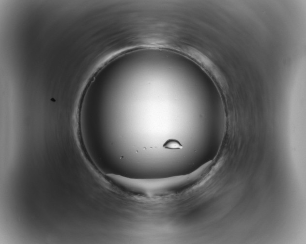 X0000088921432200706081351