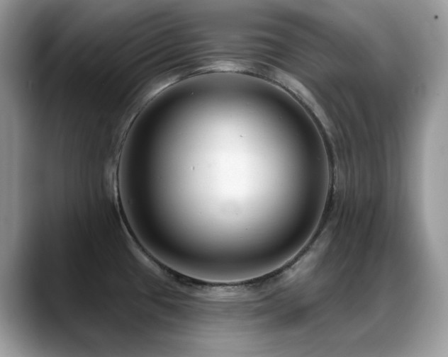 X0000088921433200706081351