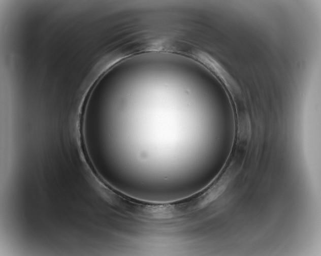 X0000088921434200706081351