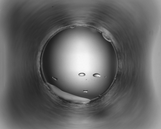 X0000088921435200706081351