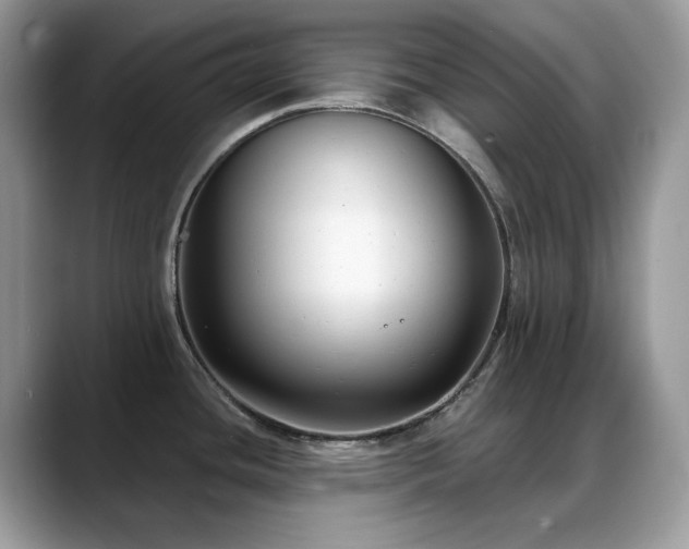 X0000088921436200706081351