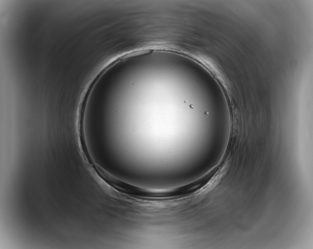 X0000088921438200706081351