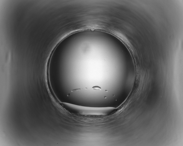 X0000088921439200706081351