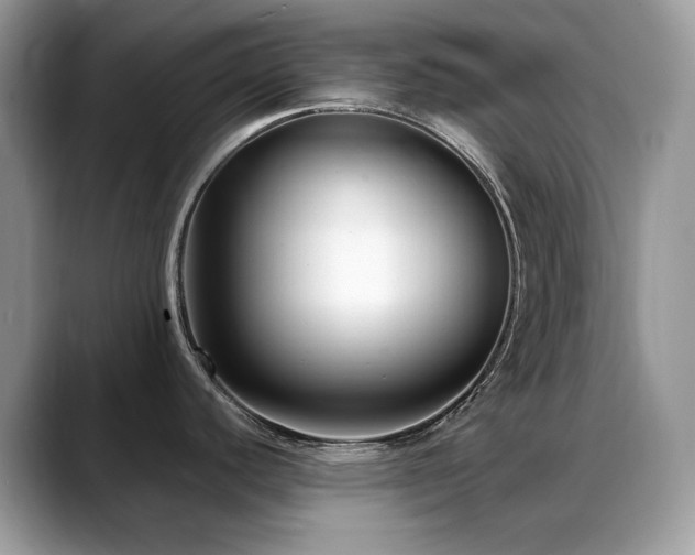 X0000088921440200706081351
