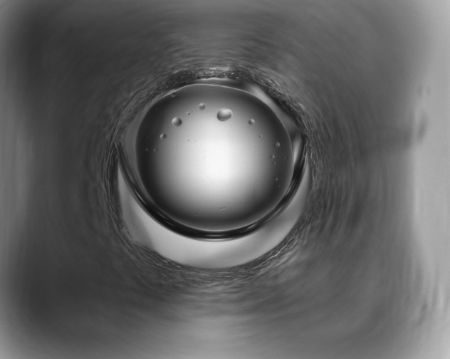X0000088921441200706081351