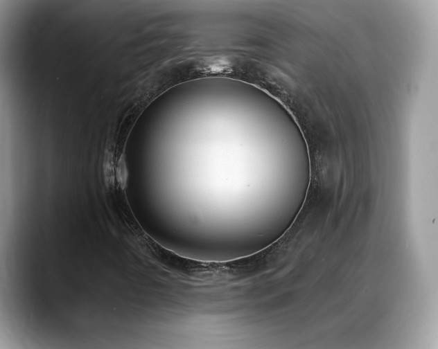 X0000088921442200706081351
